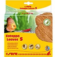 Los mejores  - sera Catappa Leaves S 10-15cm 10pcs